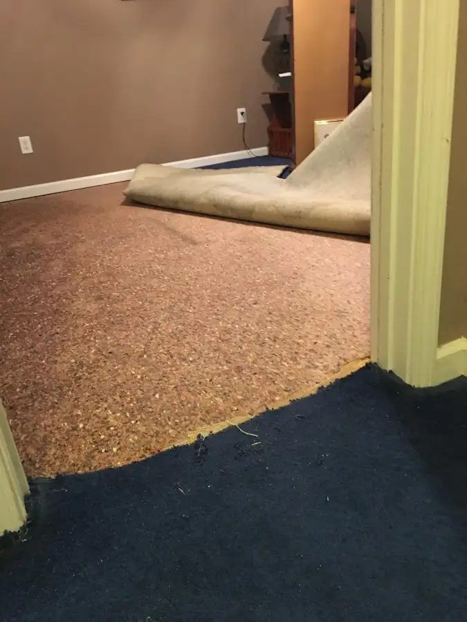Carpet pad removal revealing water damage during Water Mitigation Services in Palm Beach Gardens
